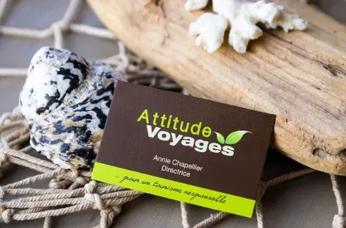 Attitude Voyages