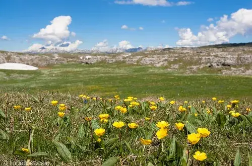 Agence d'attractivité de la Drôme